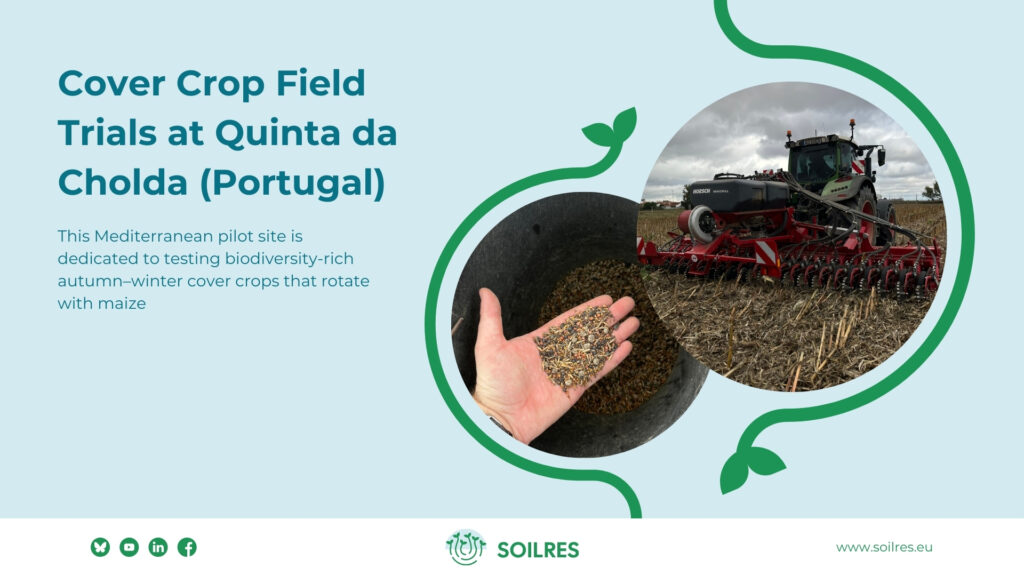Growing Biodiversity: Cover Crop Field Trials Begin at Quinta da Cholda